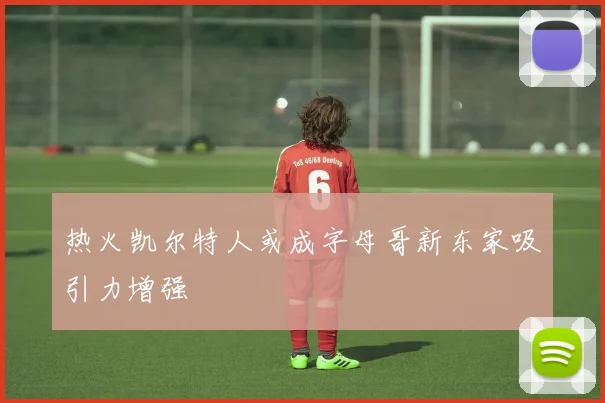 热火凯尔特人或成字母哥新东家吸引力增强