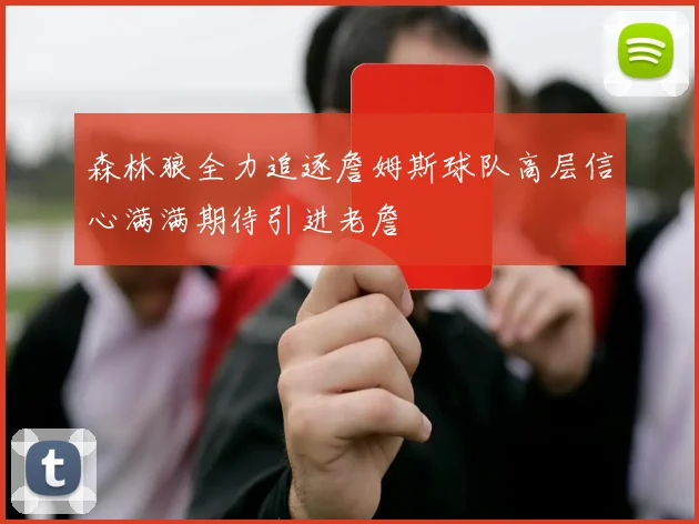 森林狼全力追逐詹姆斯球队高层信心满满期待引进老詹
