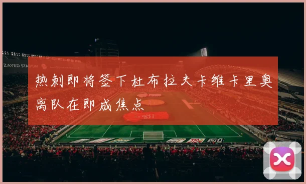 热刺即将签下杜布拉夫卡维卡里奥离队在即成焦点